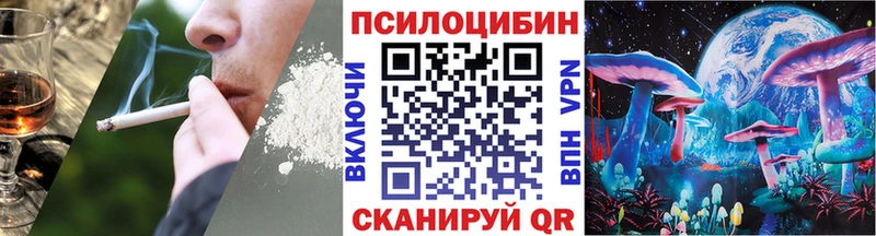 Псилоцибиновые грибы Cubensis Купить Георгиевск