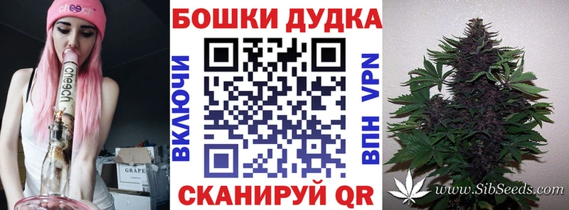 Купить где  Георгиевск  Шишки марихуана SATIVA & INDICA 